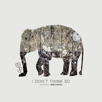 I Don't Think So - Ben Phipps