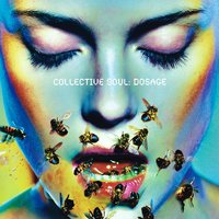 No More No Less - Collective Soul