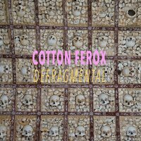 Phantasmoplasm - Cotton Ferox, Krister Linder