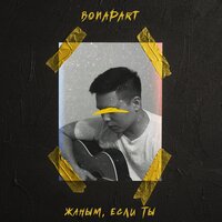 Жаным, если ты - Bonapart
