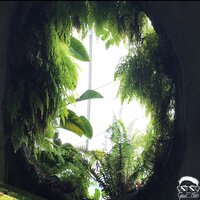 Ever After - Grant Evans, teddybear, Foreign Forest