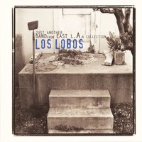 Tears of God - Los Lobos