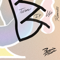 Turn It Up - Penguin Prison, Bit Funk