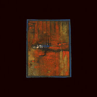 Travels in Constants - Songs: Ohia