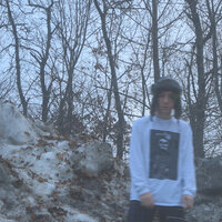 Snowflakes - guardin