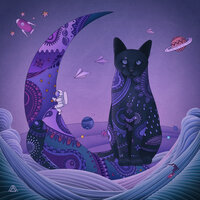 Violet Night - Maktub, Leeraon