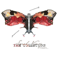 The Collector meets Image of a Group - Sarah Nixey
