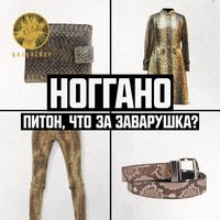 Питон, что за заварушка? - Ноггано