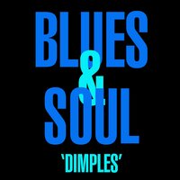 She Loves Me - Muddy Waters