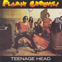 Darlin' - Flamin' Groovies, The Beach Boys