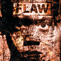 One More Time - Flaw