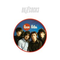 Ever Fallen in Love (With Someone You Shouldn't've?) - Buzzcocks