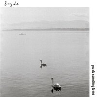 Bryde