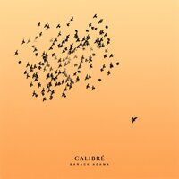 Calibré - Barack Adama