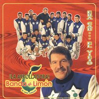 Pa Que Te Duela - La Arrolladora Banda el Limón