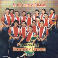 Diferentes - La Arrolladora Banda el Limón