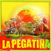 Mandarinas y pomelos - La Pegatina