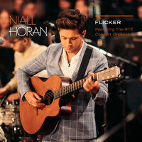 So Long - Niall Horan, The RTE Concert Orchestra