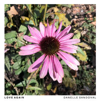 Love Again - Danelle Sandoval