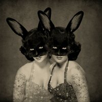 Down The Rabbit Hole - Chambers