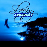 Calm Down - Sleep