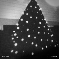 Evergreen - Wye Oak
