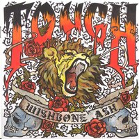 Ancient Remedy - Wishbone Ash