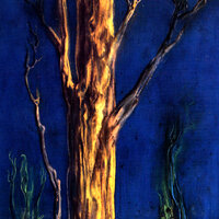 How The Great Satanic Glory Faded - Current 93