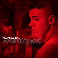 Aprovéchame - Kevin Roldán