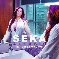 Zakuni se u kurvu - Seka Aleksić