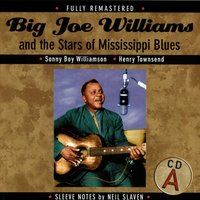 Shake It Up And Go - Tommy McClennan - Big Joe Williams