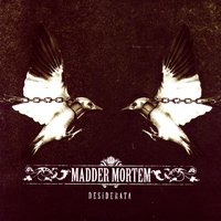 Madder Mortem