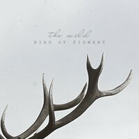 We Can Do It - Bird Of Figment, Eyre