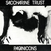 Success and Failure - Saccharine Trust