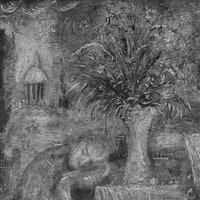 Everything Was Beautiful And Nothing Hurt - mewithoutYou