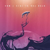 Kim - VNM, Vito