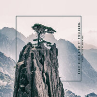 Prituri Se Planinata - Ahmet Kılıç, V-Dat, Stellamara