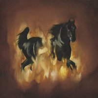 And You Lied To Me - The Besnard Lakes