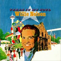 There's a Little Bit of Everything in Texas - Willie Nelson