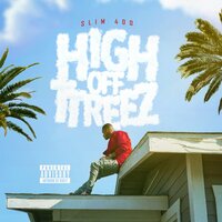 If I Could - Slim 400, Twista