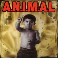 Latino América - A.N.I.M.A.L., Richard Kaplan
