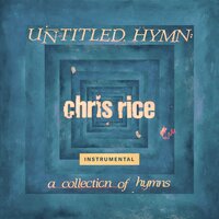 Too Much I Love - Chris Rice, David Davidson