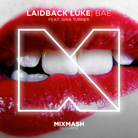 Bae - Laidback Luke, Gina Turner