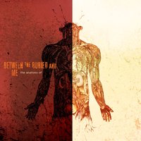 Kickstart My Heart - Between the Buried and Me