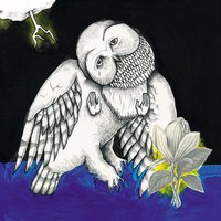 Peoria Lunch Box Blues - Songs: Ohia