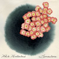 Mon Ami La Rose - White Hinterland