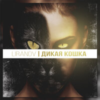 Дикая кошка - LIRANOV