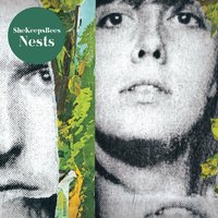 My Last Nerve - She Keeps Bees