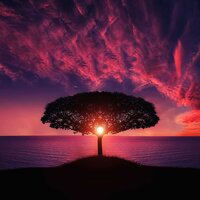Lazy Morning - Healing Yoga Meditation Music Consort, Sleep Music, Meditation Awareness