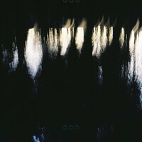 909 - Eden